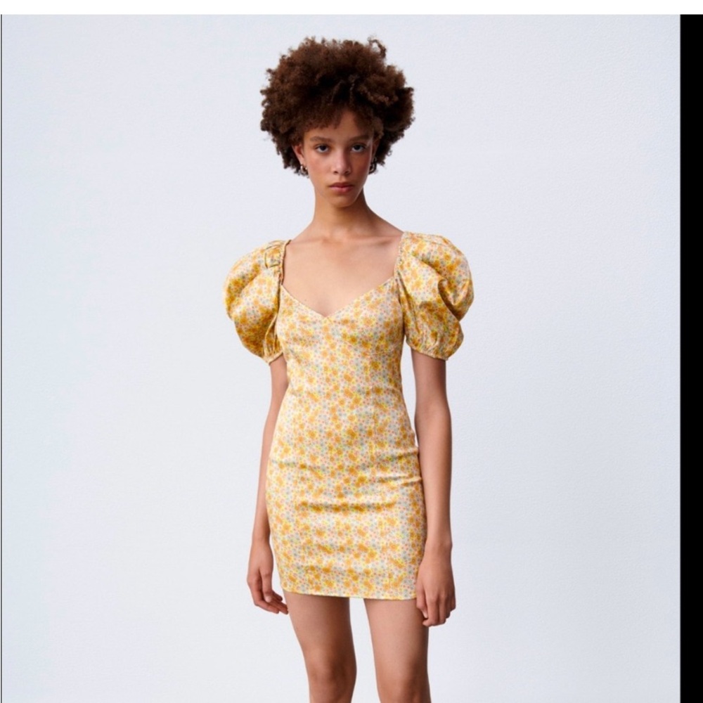 Floral Puff Sleeve mini  Dress Zara